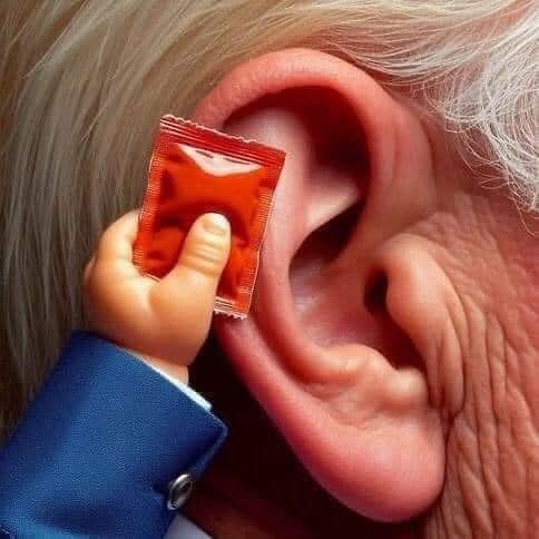 sauce ear.jpg