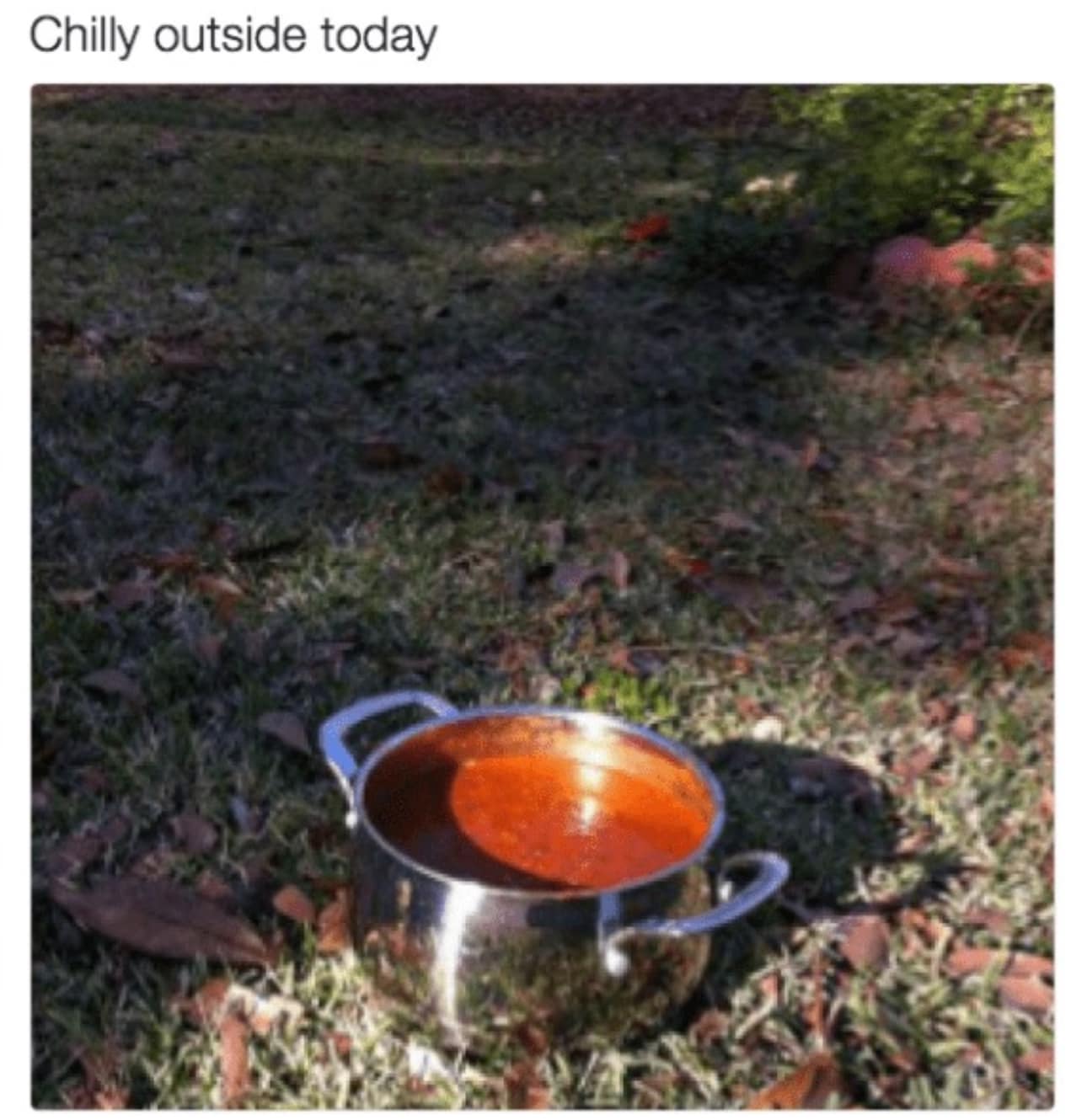 ChillyOutside.jpg