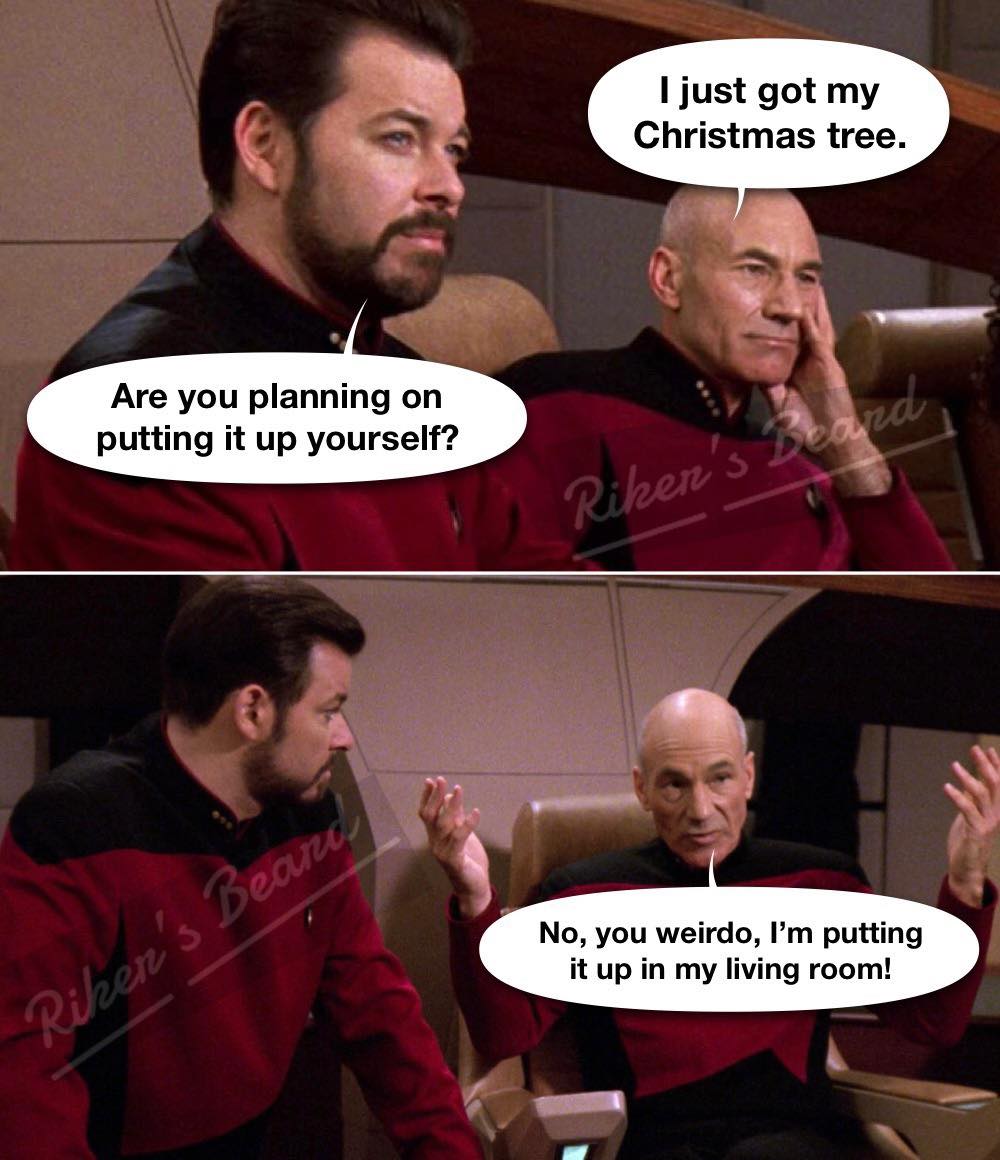 puttingTreeupYourself.jpg