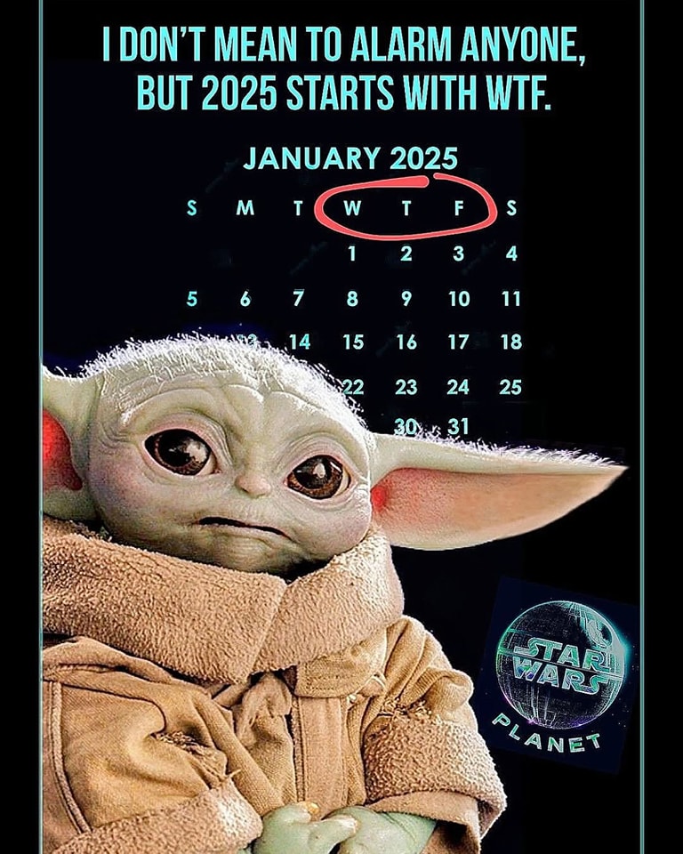 WTF2025.jpg