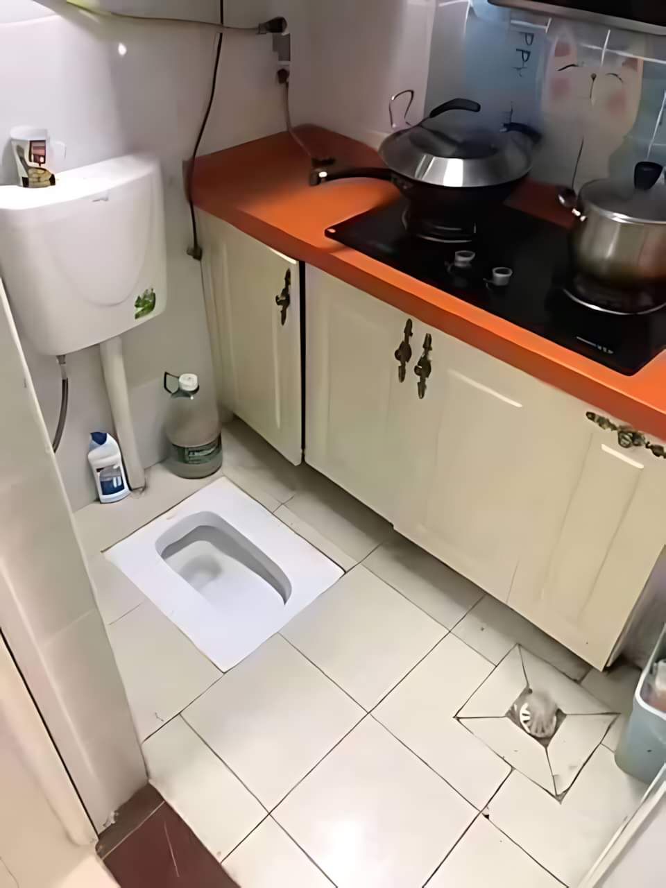 LowProfileToilet.jpg