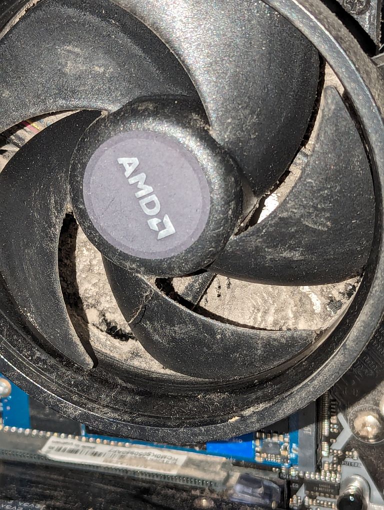 PXL_20240601_190652653.jpg
